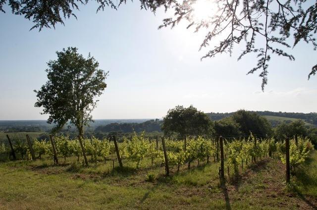 Chateau Fauchey Cadillac Ngoại thất bức ảnh
