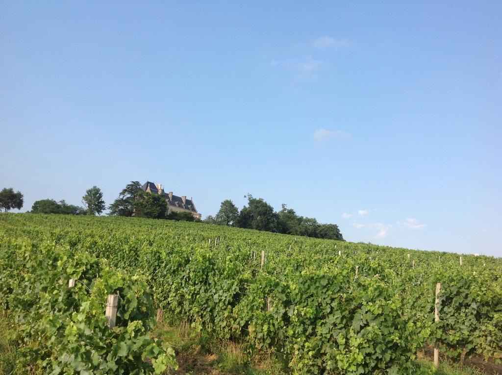 Chateau Fauchey Cadillac Ngoại thất bức ảnh